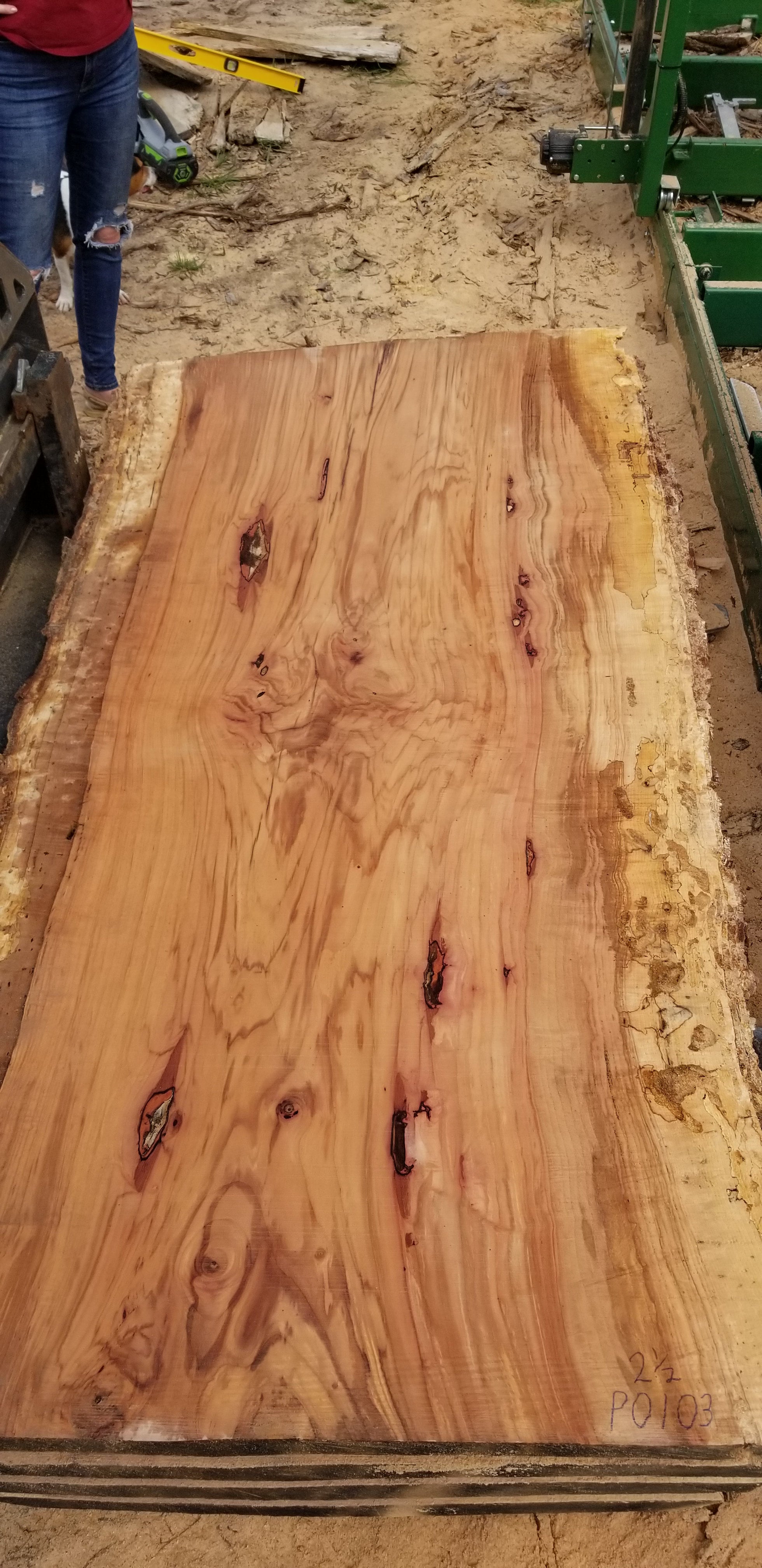 2 1/2 Spalted Pecan Slab P0103 | Dirty Dog Wood LLC.